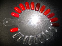 Z2 - rouges.JPG